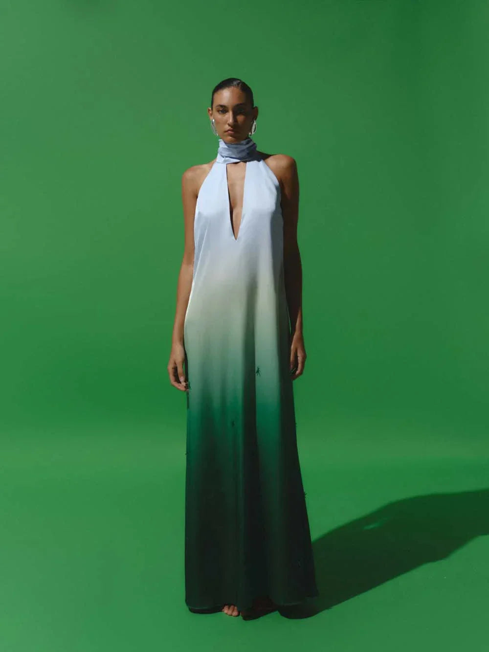 Magia Salvaje Maxi Dress